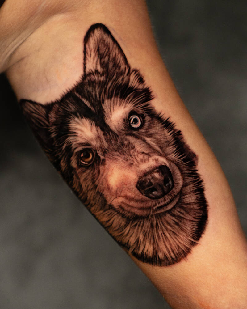 chico-hond-4x5-standard.jpg