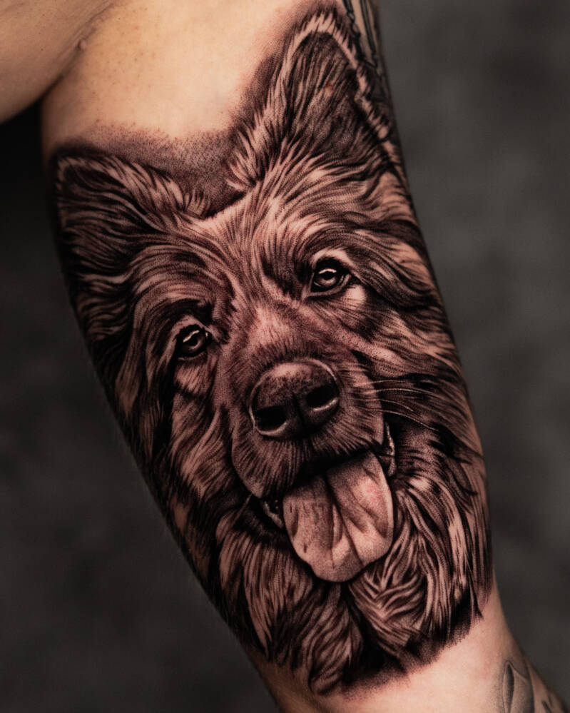 hond-portret-4x5-standard.jpg