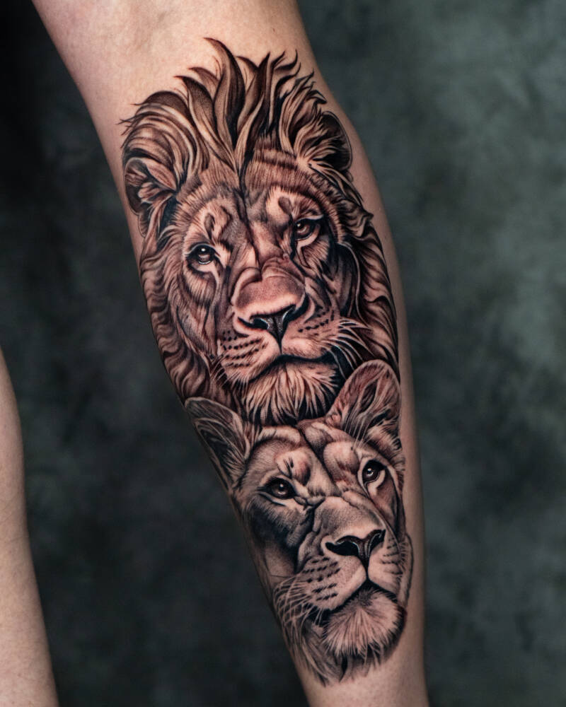 lions-4x5-standard.jpg