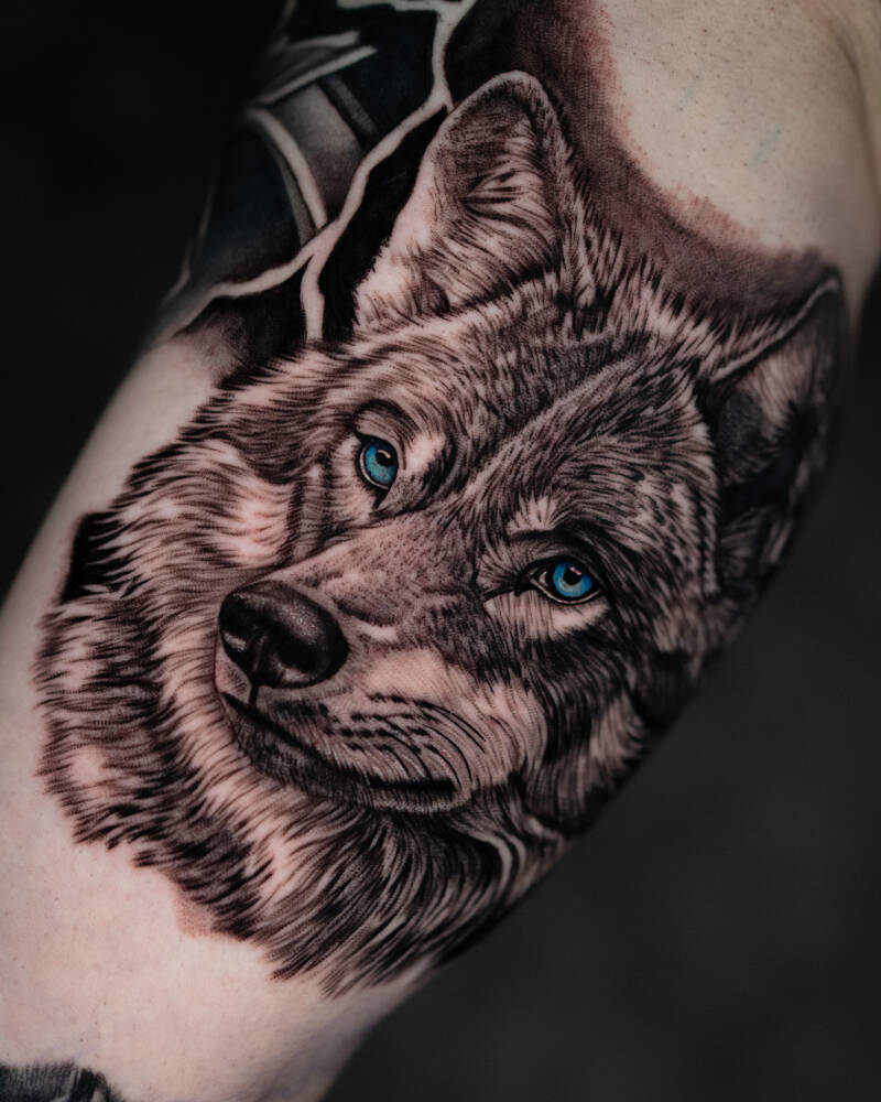wolf-4x5-standard.jpg