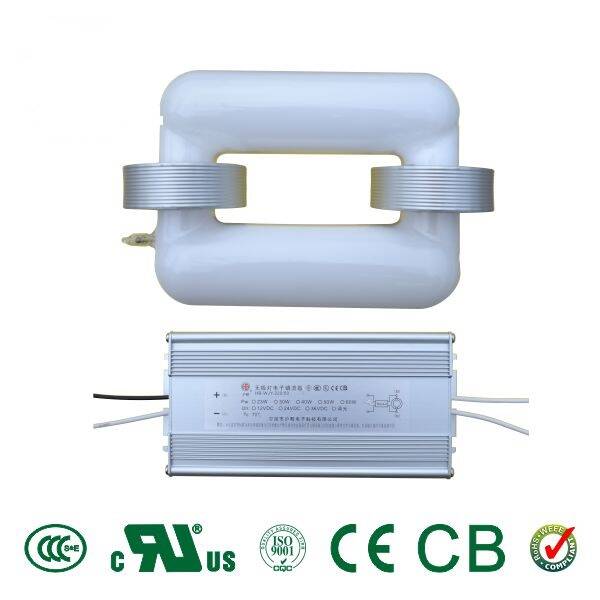 WattLight Inductielamp lang + Ballast