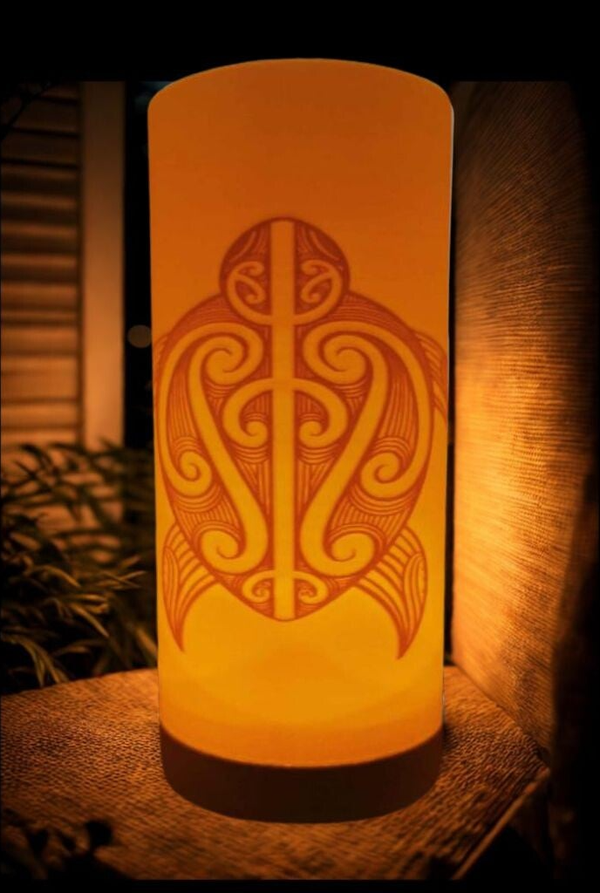 Te Ara O Te Honu - Path of The Turtle