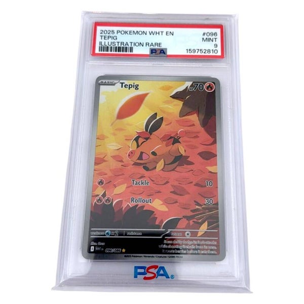 Tepig PSA 9