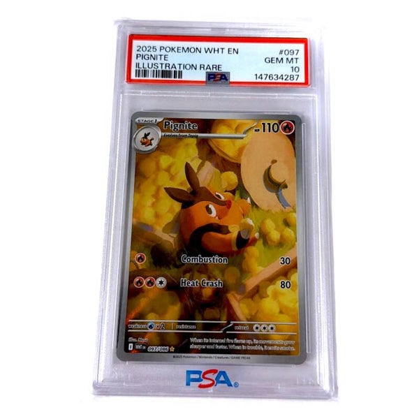 Pignite PSA 10