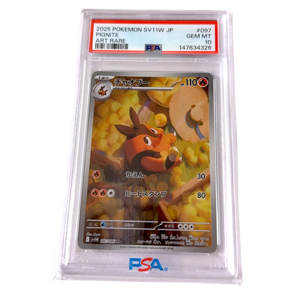 Pignite PSA 10
