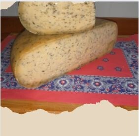 Boerenkaas brandnetel