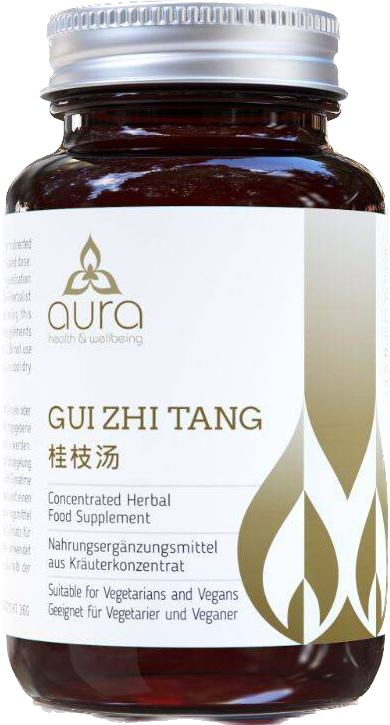 Gui Zhi Tang 桂枝汤片