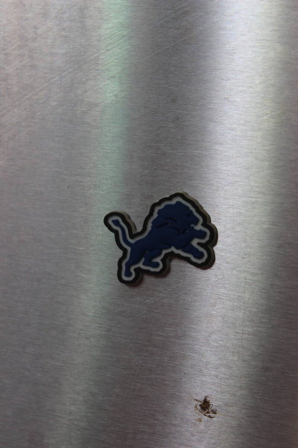 Lions magnet