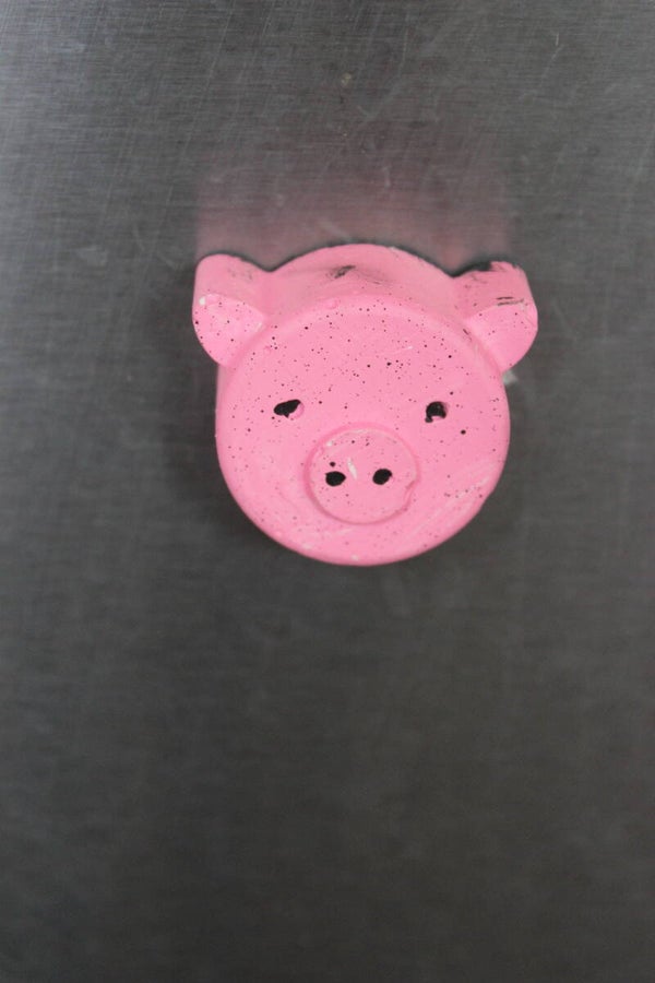 Pig magnet (61590