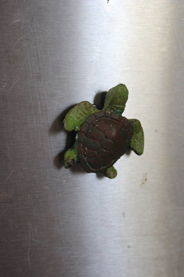 Turtle magnet (6171)