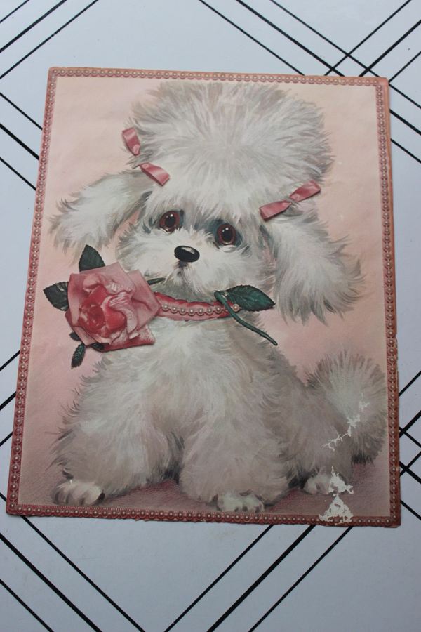 Colonial Studios Rose and poodle puppy