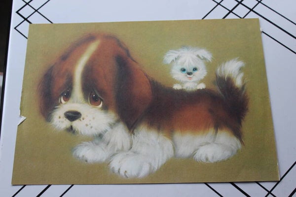 2 little puppies image