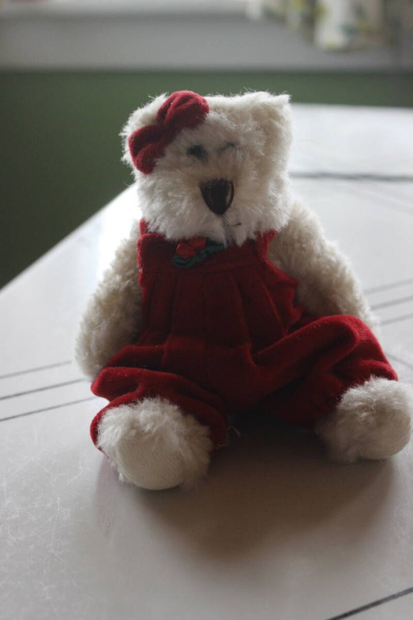 Erin K Bear   Boyds bear