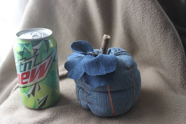 Jean pumpkin (JB-1)