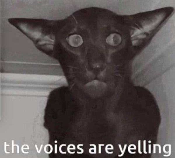 Blind date with a book