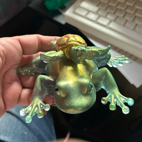 TURTLE AND FROG