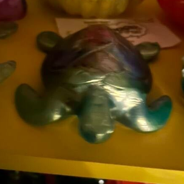 turtle
