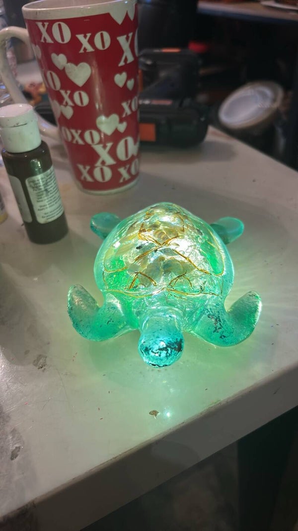 light up turtle