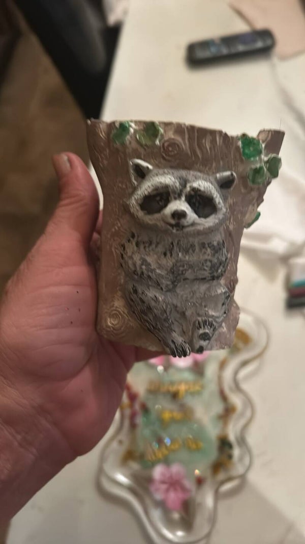 raccoon suculant vase