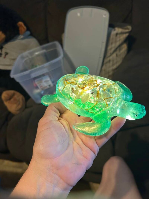 light up turtle