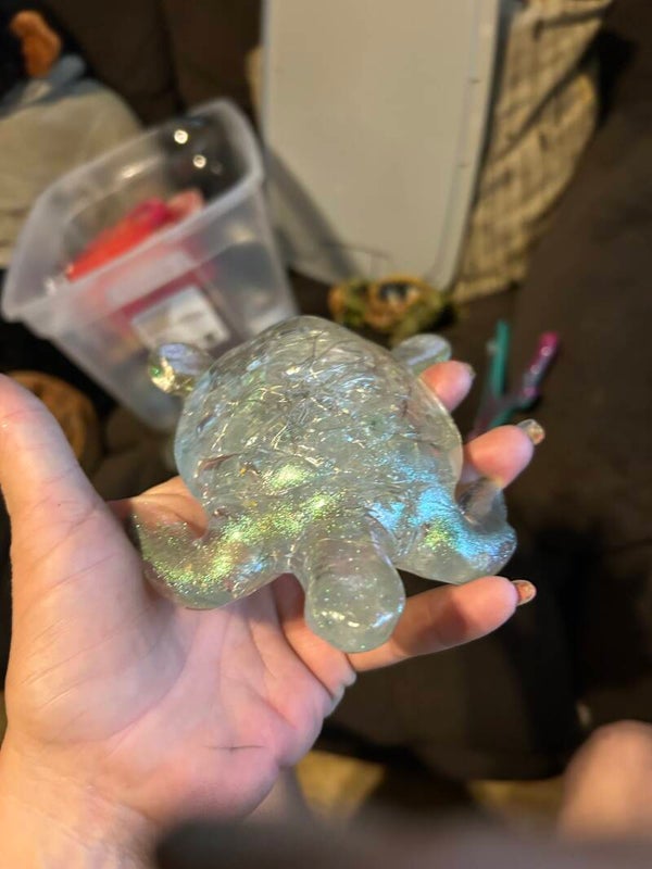 clear turtle