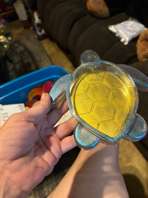 turtle bowl