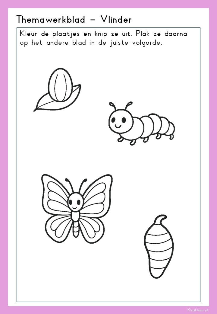 Thema Vlinder