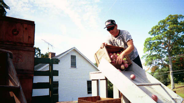 0006-standard.jpg