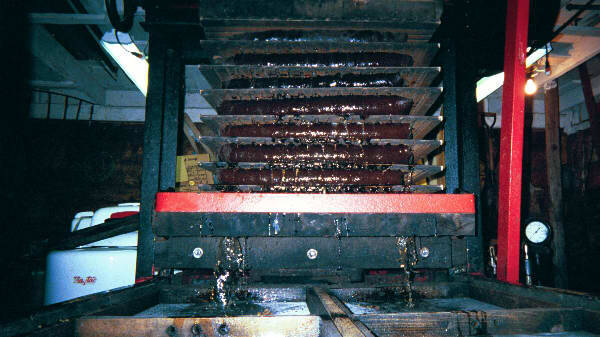 0013-standard.jpg