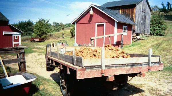 0016-standard.jpg