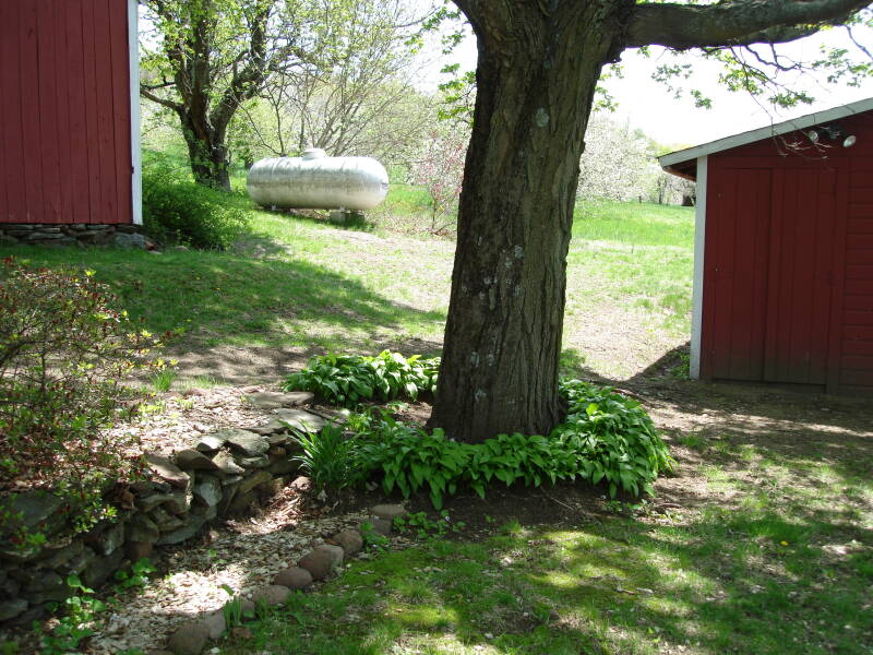 dsc00769-standard.jpg