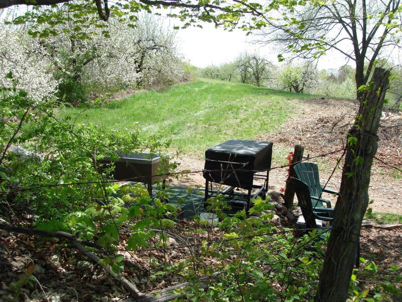dsc00794-standard.jpg