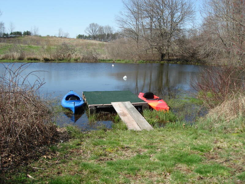 dsc01399-standard.jpg