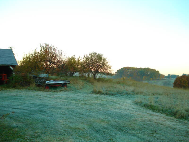 dsc02107-standard.jpg