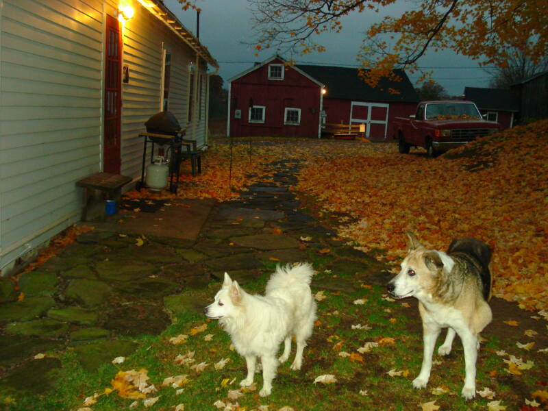 dsc02124-standard.jpg
