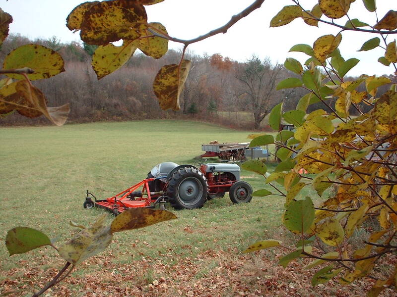 dscf0001-standard.jpg