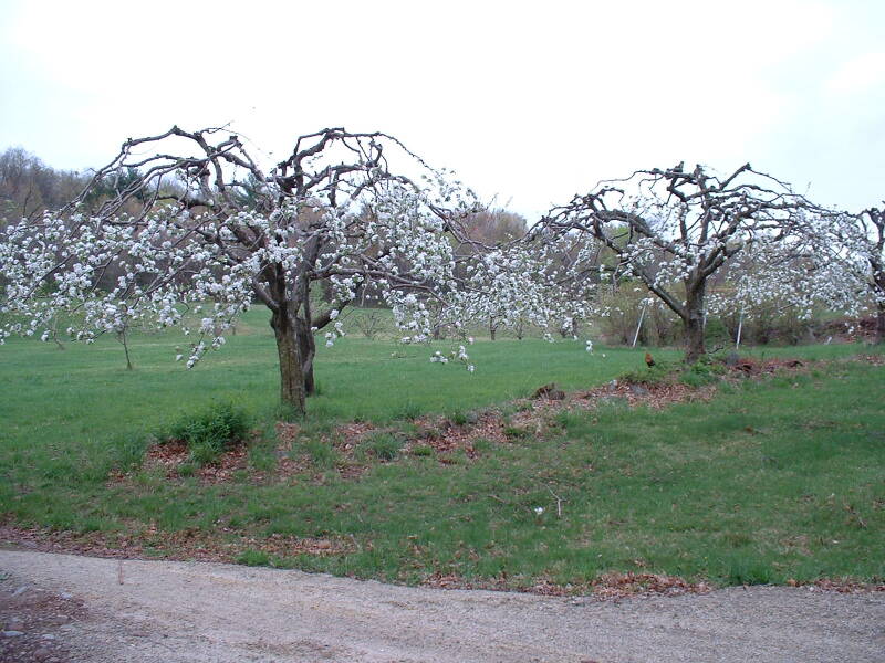 dscf0044-standard.jpg