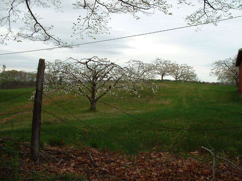 dscf0045-standard.jpg
