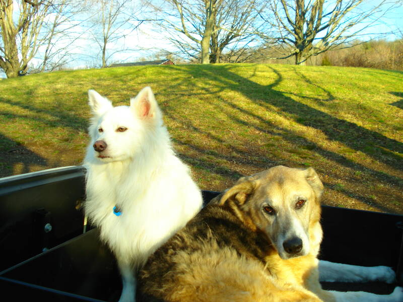 jan-2007-053-standard.jpg
