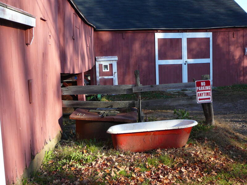 p1020696-standard.jpg