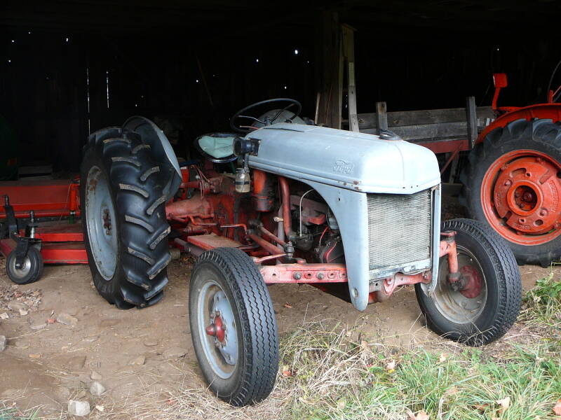 p1020781-standard.jpg