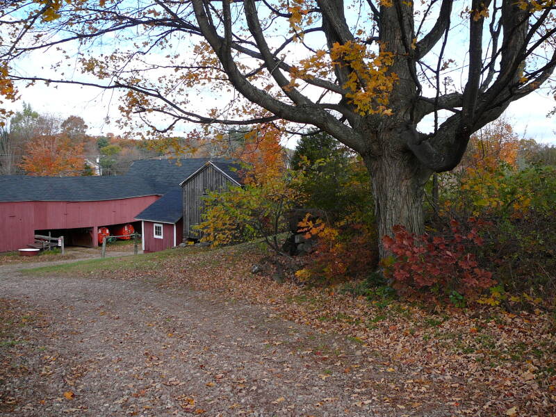 p1020803-standard.jpg