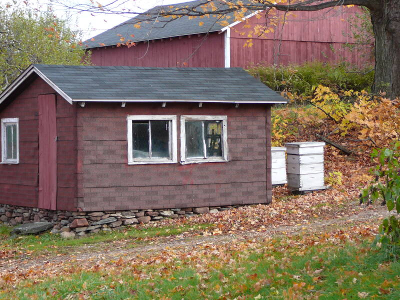 p1020827-standard.jpg