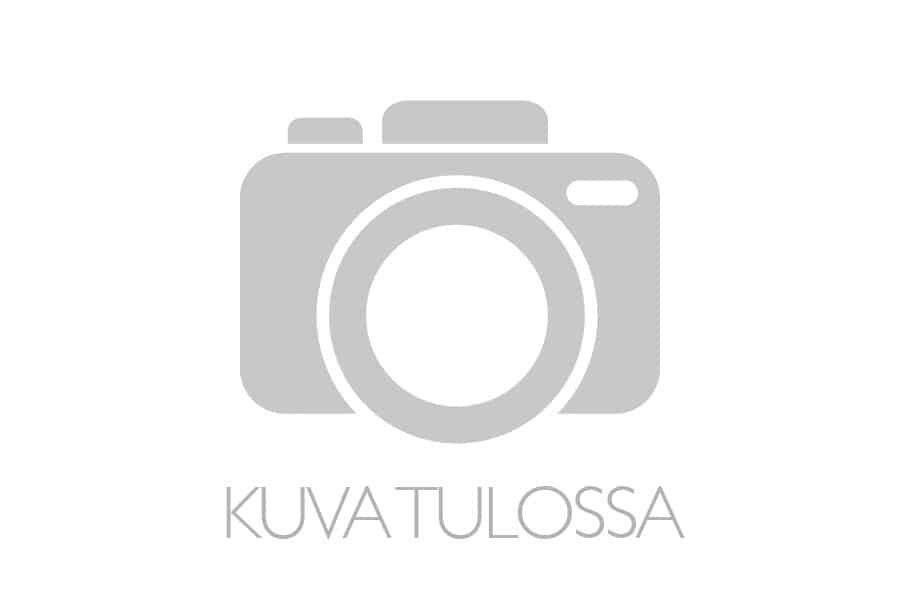 Pentukuva 1