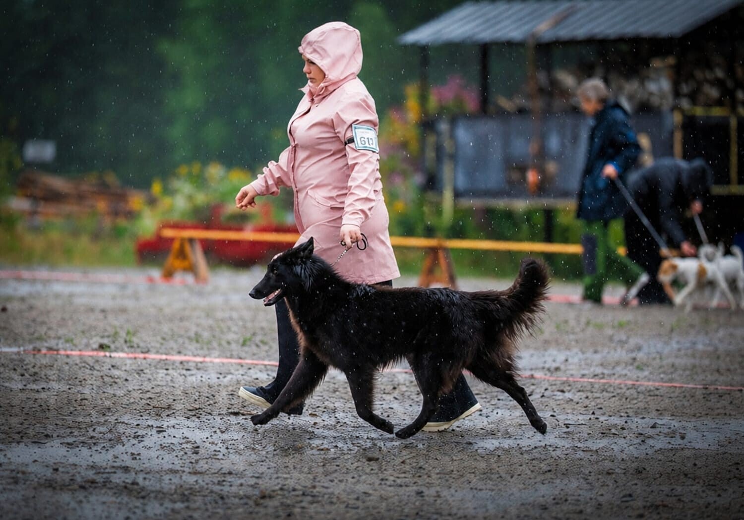 Kasvattajan kuva 2