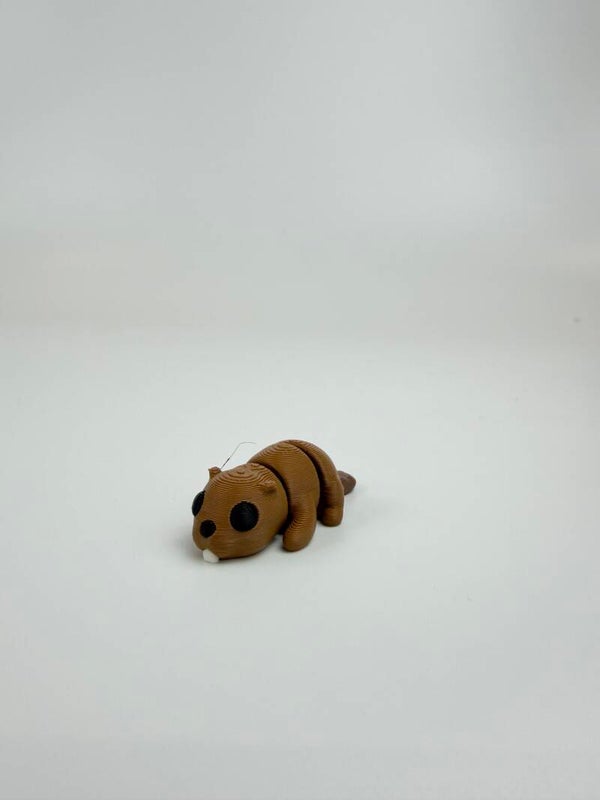 Mini Beaver men