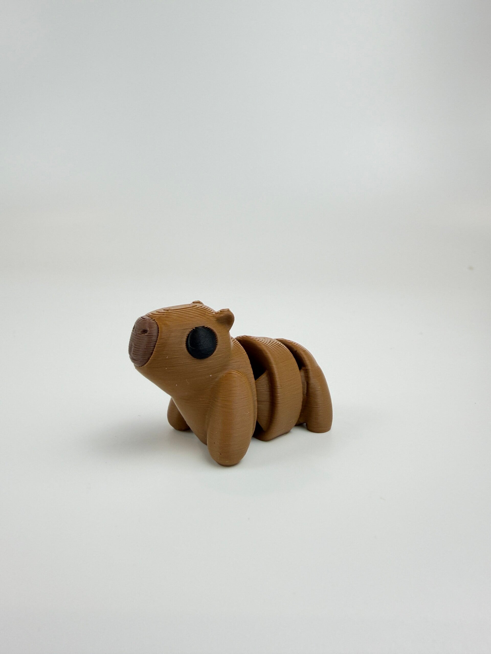 Mini Capybara