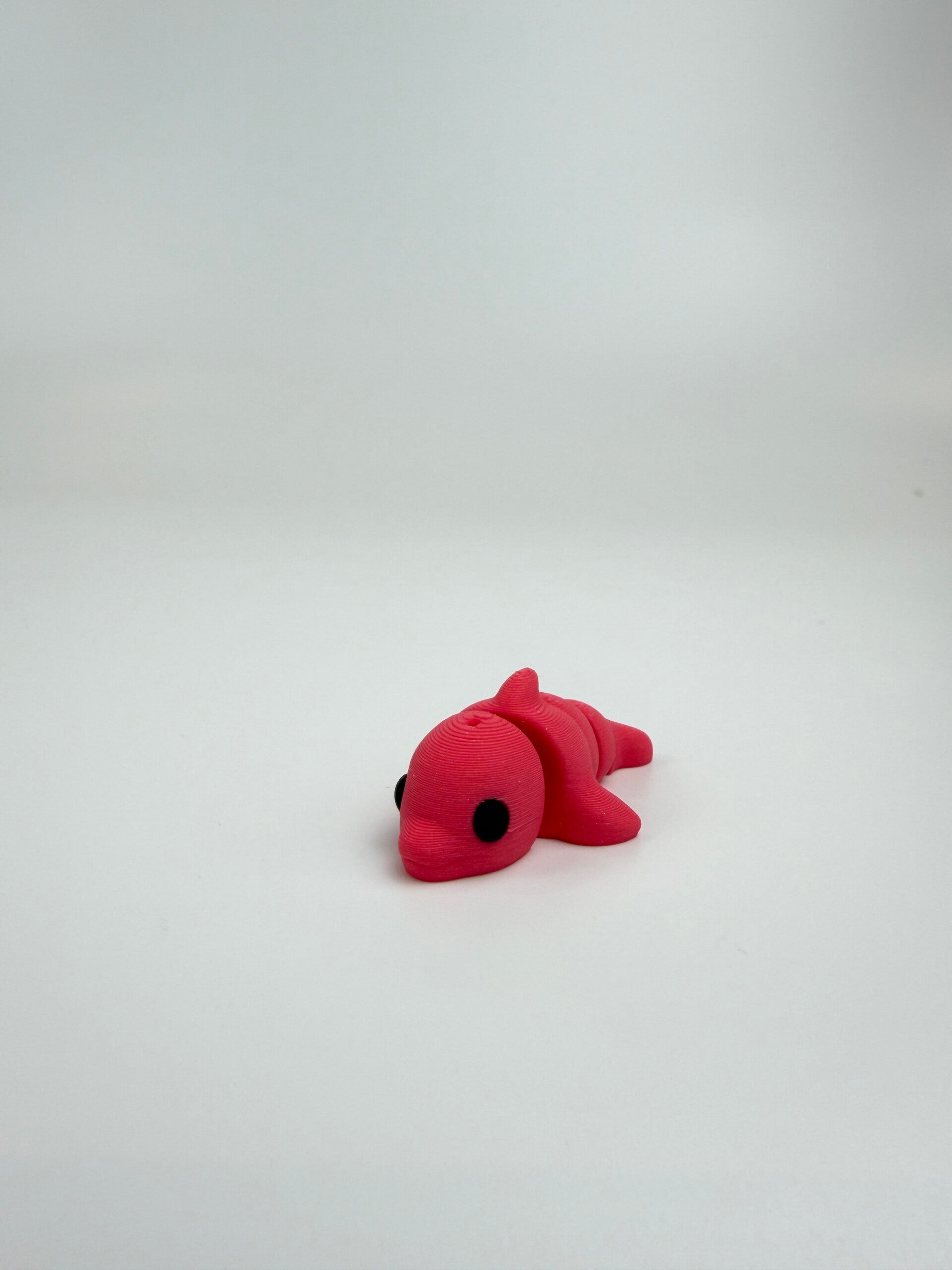 Mini Dolphin