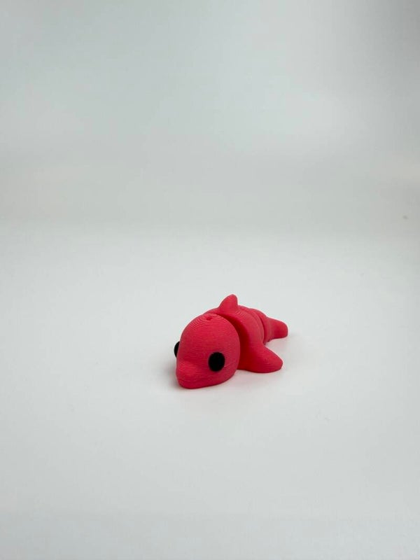 Mini Dolphin