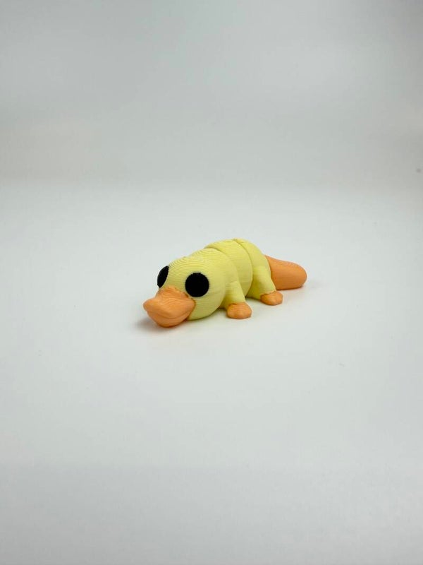 Mini Platypus